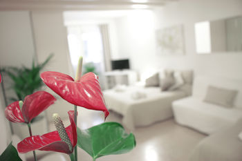 Apart-hotel Academia